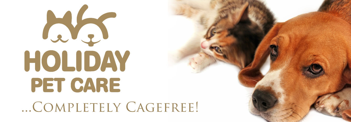 Holiday Pet Care Dog & Cat Logo... offering dog daycare, cagefree doggie boarding / dog hotel, (not a kennel) dog walking, pet / cat sitting,  in Thornhill, Richmond Hill, north Toronto, Ontario, Canada