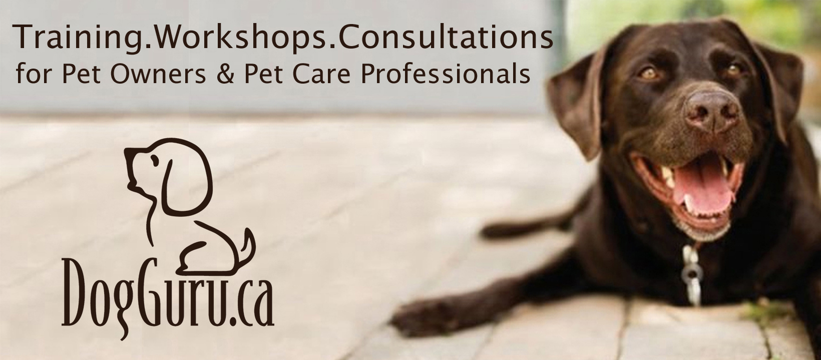 DogGuru - Behaviour Workshops and Training for Pet Owners and Pet Care  Professionals, in Thornhill, Richmond Hill, Toronto, Ontario, Canada